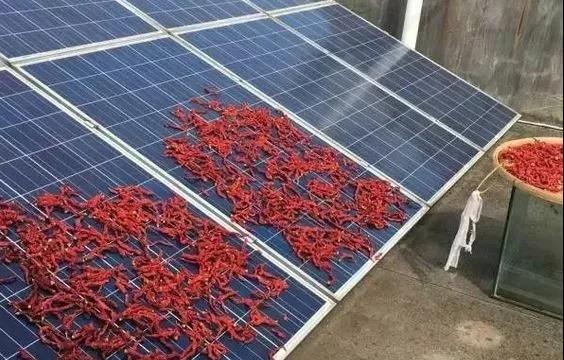 【漲知識】光伏電站被遮擋的后果很嚴(yán)重：找靠譜的安裝商很關(guān)鍵！
